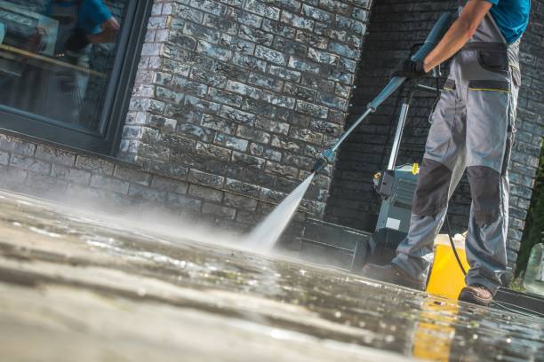 Best Driveway Cleaning and Restoration in Gman, IL
